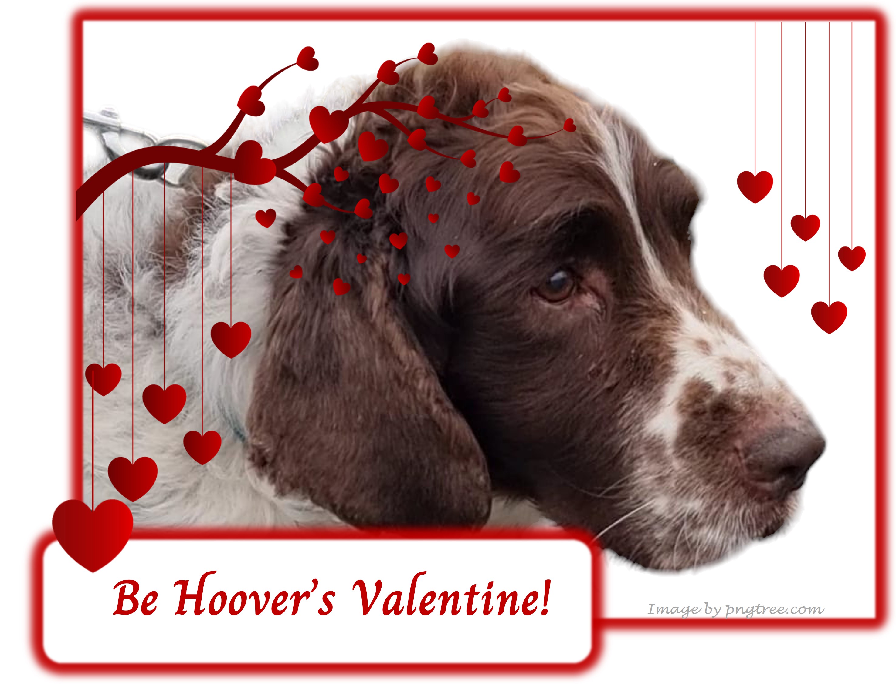 Be Hoover’s Valentine!