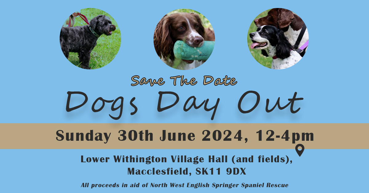 Save the Date – Dogs Day Out 2024