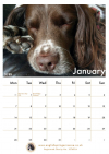 2019-Calendar-January
