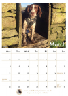 2019-Calendar-March